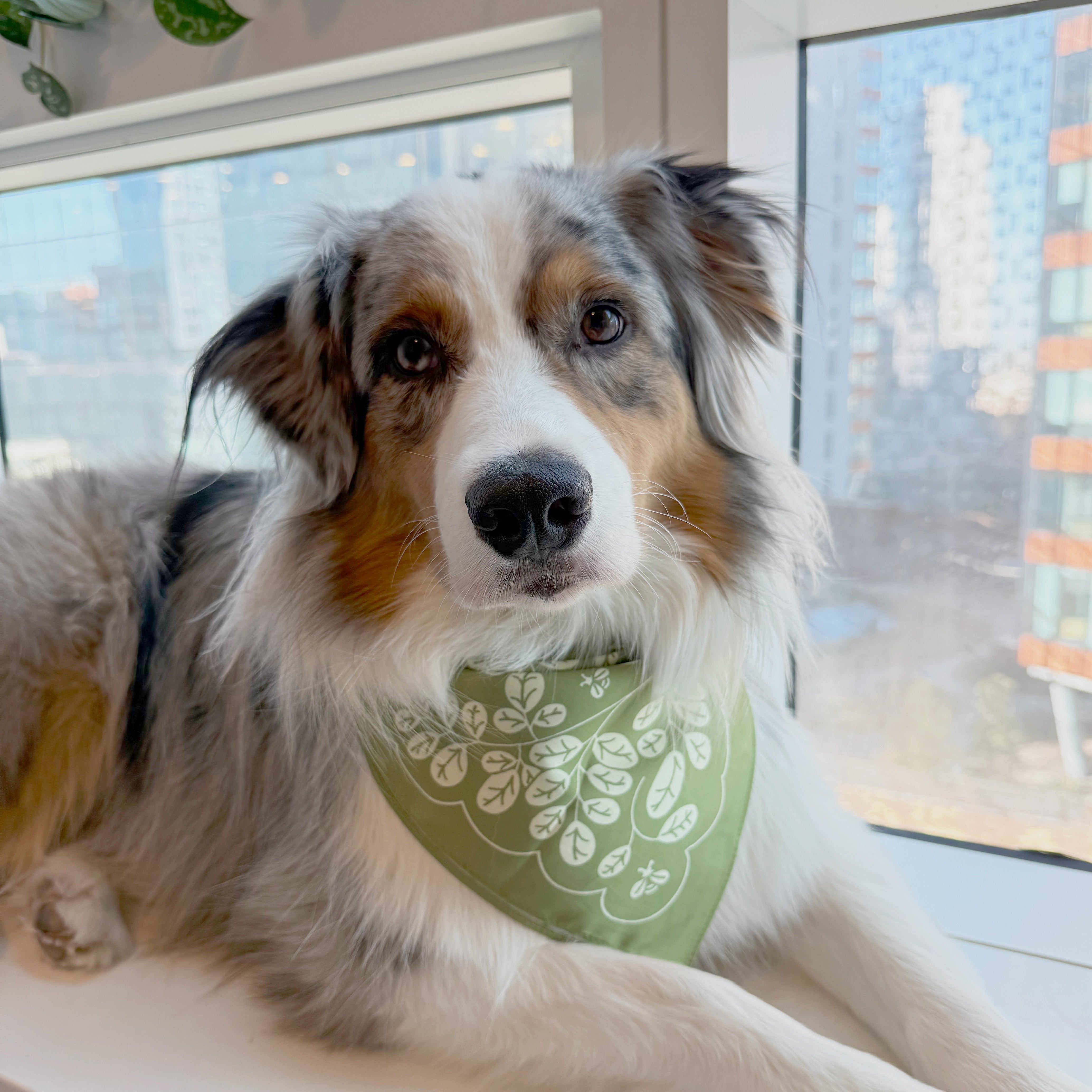 Farmacy Moringa Bandana tørkle 21x21 grønn